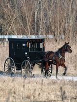 Broad Run Cheese House, Cleveland-Canton-Amish