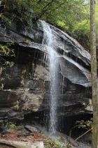 Looking Glass Falls in Pisgah National Forest, near Brevard, North Carolina, by Sondra Blackwell.