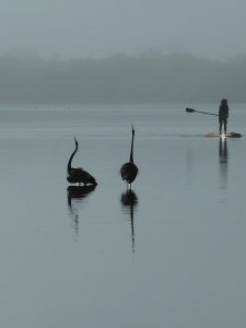 Fort De Soto Park, Tierra Verde, Florida, by Judy Swafford.