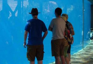 Older children can still enjoy RV travel time with their family.