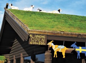 Delicious Swedish and American fare is served inside Al Johnson's Swedish Restaurant and Butik in Sister Bay, but its famous goats only care about what's served on the roof.