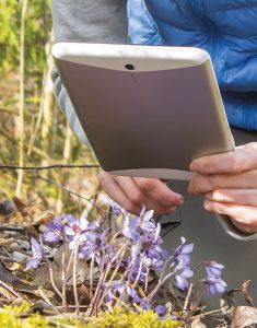 Apps can assist travelers with plant identification.