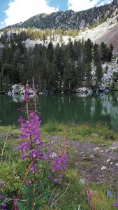 Laurel Lake, in the Eastern Sierra Nevada of central California, submitted by Dennis and Vicki Utt.