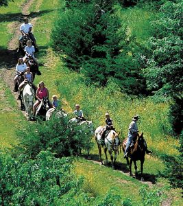 Visitors can take group trail rides or ride their own horses at Fort Robinson.