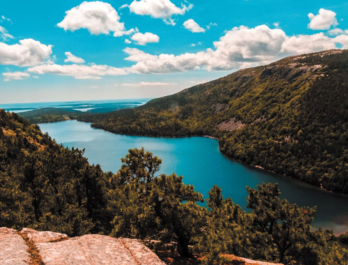 News & Notes: January 2019