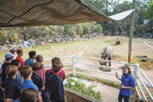 Chehaw Park Campground, Albany, Georgia