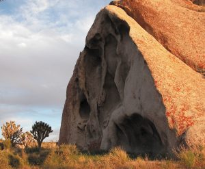Cima Dome, one of the National Natural Landmarks at Mojave.