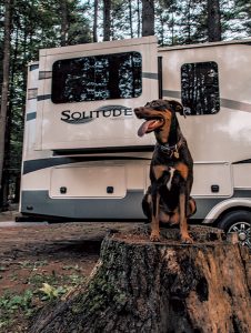 Jason and Rae Miller decided to travel by RV because they could bring along Carmen, their rescued Doberman mix.