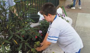 Participants of varying ages and skill levels can volunteer their time, sometimes when attending Extension presentations or workshops.