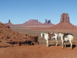 Charlie and Bev DiPietro encountered trail horses stopped for a rest in Monument Valley, on the Utah-Arizona border.