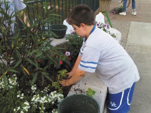 Participants of varying ages and skill levels can volunteer their time, sometimes when attending Extension presentations or workshops.