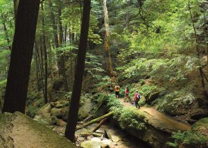 Hikers traverse a trail beneath a wooded canopy in southeastern Ohio’s Hocking State Forest
