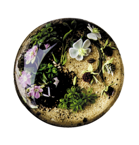 The Bergstrom-Mahler Museum of Glass contains amazing pieces of art. Among the more contemporary items is “Environmental with Berries and Flowers.”