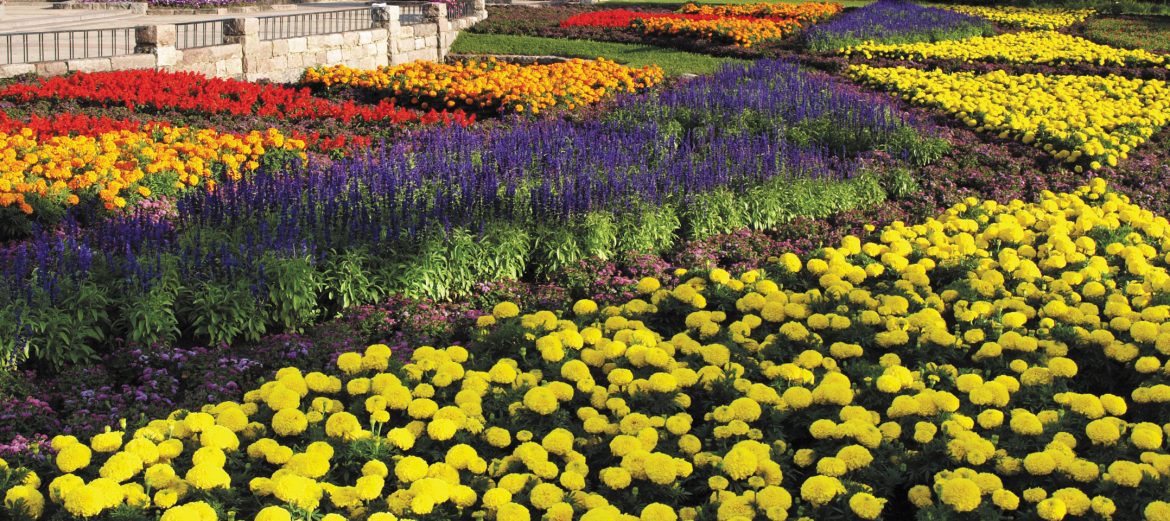 The International Peace Garden