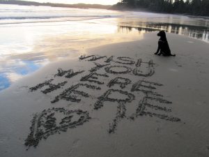 Larry and Sandy MacDonald’s dog, Bella, appears to enjoy the setting sun near Tofino, British Columbia, where they stayed at Bella Pacifica Campground.