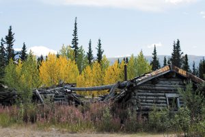 The remains of a mining town called Silver City can be explored on the way to Kluane Lake.