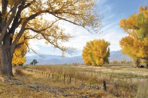 The Owens Valley near Bishop, California, took on a warm glow last October.