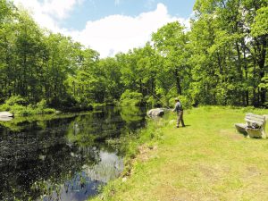 1) With the line let out (shown here as the fly comes to the end of its drift), and the rod tip pointing roughly along the length of the line, lift the rod tip to the 10 o’clock position, lifting some line as well.