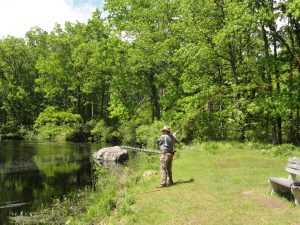 2) Using your forearm, snap the rod back to the 2 o’clock position, moving the rod tip in a straight plane. The line should loop behind you.
