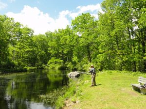 3) Hesitate at the 2 o’clock position until the line straightens out behind you (you’ll feel the line tug when it is straight). Once the line is straight, using your forearm, snap the rod forward, bending (loading) the rod.