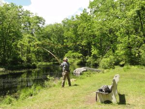 5) After snapping the line forward and stopping at the 10 o’clock position, the line should roll forward in a loop.