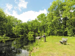 6) As the loop lengthens and the line begins to straighten, begin to follow the line down with the rod tip.