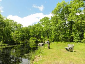 7) As the line fully straightens, follow it down to the water with the rod tip.