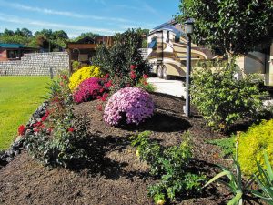 Many Deer Creek lot owners personalize their RV sites with colorful vegetation, which flourishes in the mountain air.