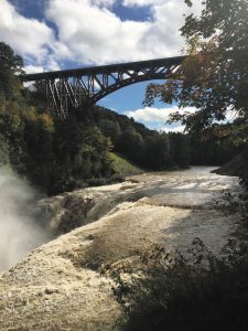 Tracie Digirolamo photographed the new steel arch railroad bridge that spans the Genesee River in Letchworth State Park, New York.