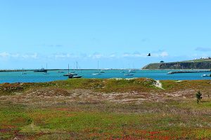 The harbor areas have many recreational uses, boating among them.