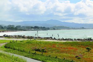 Paddle boarders ply the surf at Pillar Point.