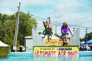 Milt’s wife, Cathi, works with a dog during a competition. The couple travels to events in their 42-foot Entegra Coach diesel pusher.