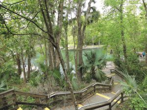 A walkway leads to the state park’s famous Wekiwa Springs swimming area.