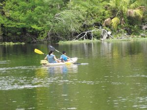 Kayaks and other watercraft can be rented at Wekiwa Springs State Park.