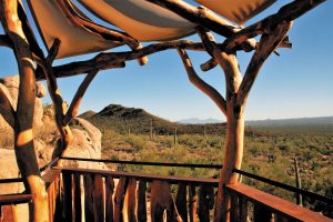 A view of the landscape from beneath a jagged canopy at the Arizona-Sonora Desert Museum.
