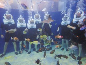 In November 2018, some Tucson Drifters donned wetsuits and helmets and took an underwater walk at OdySea Aquarium in Scottsdale, Arizona.