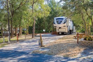 Rock Crusher Canyon RV Park is located near natural wildlife areas.