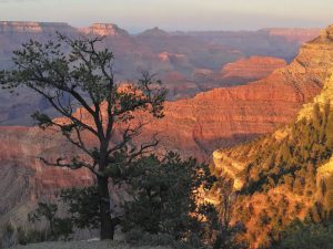 The Grand Canyon takes on an ethereal beauty at sunset, as illustrated in this photo by Tim Talbot.