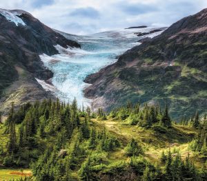 The scenery around Stewart and Hyder, such as this meadow and glacier, sometimes resembles works of art.