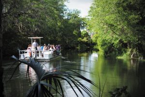 One of the ways visitors can enter the park is by boat, from which they can observe many local species.