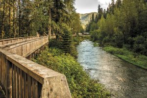A long boardwalk lines salmon-friendly waters at the Fish Creek Bear Viewing Area. 