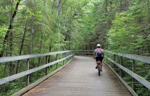 Biking in Itasca State Park, Minnesota.