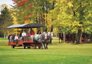 Award-winning horse-drawn carriage tours at Thunder Bay Resort showcase northern Michigan's beauty, including views of elk in their natural habitat, followed by a gourmet dinner and wine tasting.