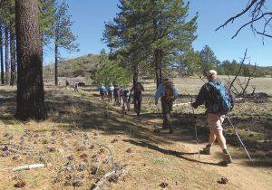 Since 1973, volunteer Canyoneers from the San Diego Natural History Museum have led guided hikes through various locations around San Diego County, California. They encourage hikers to learn and discover along the trails.