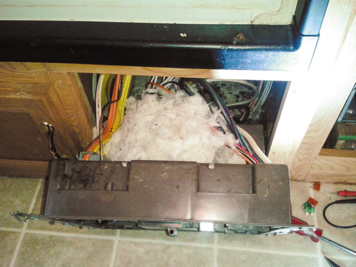 Critter Proofing Your RV