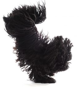 Getty Images/WilleeCole