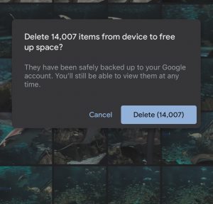Using the “Free Up Space” command, users can delete photos stored on their phone once they are safely backed up in the cloud.