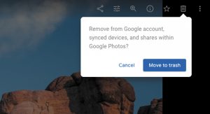 An unwanted image can be removed from both phone and cloud storage by selecting it and using Google Photos’ trash can icon.