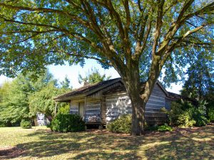 The log cabin birthplace of W.C. Handy in Florence.