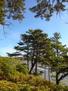 The land on Georgetown Island, Maine, where Sagadahoc Bay Campground sits today has been owned by one family since 1650.